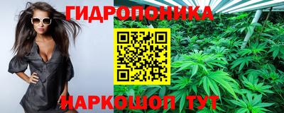 mdma Новозыбков