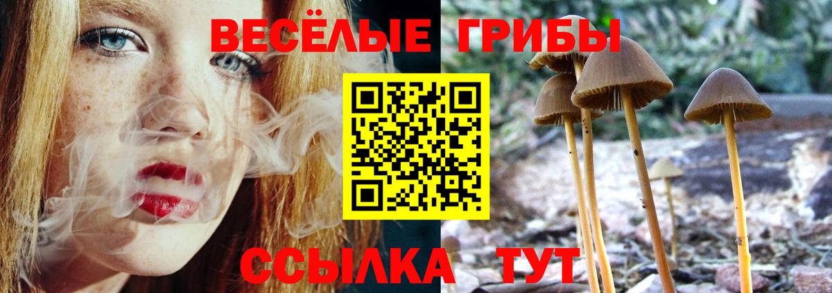 ТГК Печора